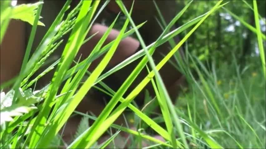Скриншот к Любительское с трахом на траве 